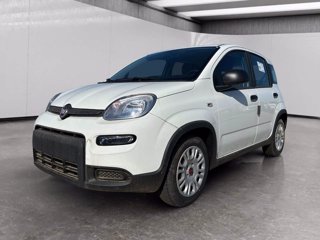 FIAT Panda 1.0 firefly hybrid s&s 70cv