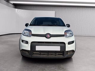 FIAT Panda 1.0 firefly hybrid s&s 70cv