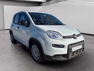 FIAT Panda 1.0 firefly hybrid s&s 70cv