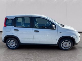 FIAT Panda 1.0 firefly hybrid s&s 70cv