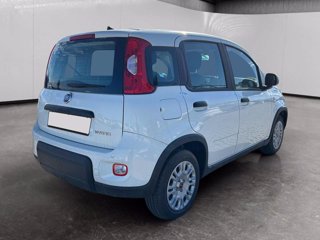 FIAT Panda 1.0 firefly hybrid s&s 70cv