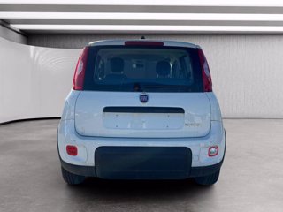 FIAT Panda 1.0 firefly hybrid s&s 70cv