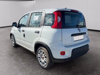 FIAT Panda 1.0 firefly hybrid s&s 70cv