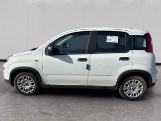 FIAT Panda 1.0 firefly hybrid s&s 70cv