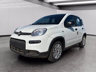 FIAT Panda 1.0 firefly hybrid s&s 70cv