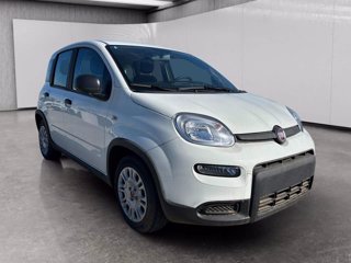 FIAT Panda 1.0 firefly hybrid s&s 70cv