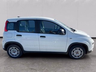 FIAT Panda 1.0 firefly hybrid s&s 70cv