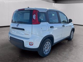 FIAT Panda 1.0 firefly hybrid s&s 70cv