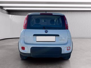 FIAT Panda 1.0 firefly hybrid s&s 70cv