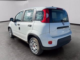 FIAT Panda 1.0 firefly hybrid s&s 70cv