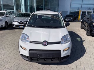 FIAT Panda 1.0 firefly hybrid s&s 70cv