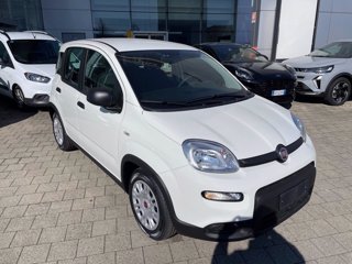FIAT Panda 1.0 firefly hybrid s&s 70cv