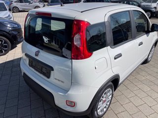 FIAT Panda 1.0 firefly hybrid s&s 70cv