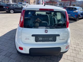 FIAT Panda 1.0 firefly hybrid s&s 70cv