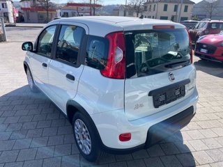 FIAT Panda 1.0 firefly hybrid s&s 70cv