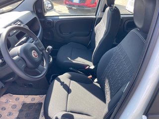 FIAT Panda 1.0 firefly hybrid s&s 70cv