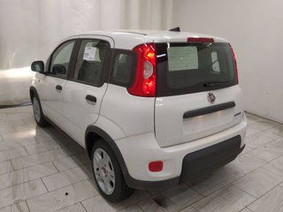 FIAT Panda 1.0 firefly hybrid s&s 70cv