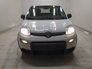 FIAT Panda 1.0 firefly hybrid s&s 70cv