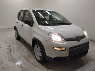 FIAT Panda 1.0 firefly hybrid s&s 70cv