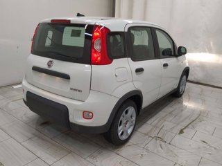 FIAT Panda 1.0 firefly hybrid s&s 70cv