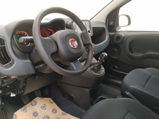 FIAT Panda 1.0 firefly hybrid s&s 70cv