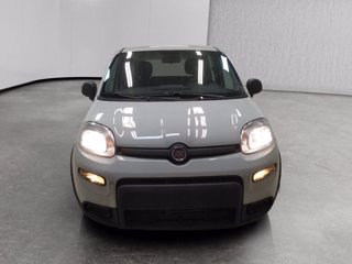 FIAT Panda 1.0 firefly hybrid s&s 70cv