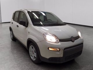 FIAT Panda 1.0 firefly hybrid s&s 70cv