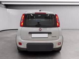 FIAT Panda 1.0 firefly hybrid s&s 70cv