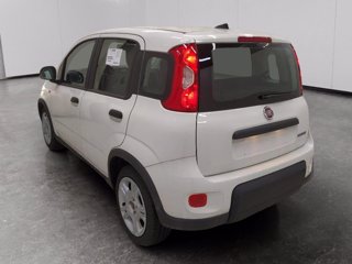 FIAT Panda 1.0 firefly hybrid s&s 70cv
