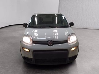 FIAT Panda 1.0 firefly hybrid s&s 70cv