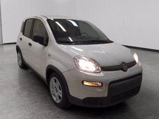 FIAT Panda 1.0 firefly hybrid s&s 70cv