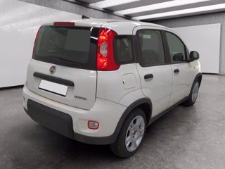 FIAT Panda 1.0 firefly hybrid s&s 70cv