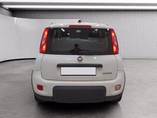 FIAT Panda 1.0 firefly hybrid s&s 70cv