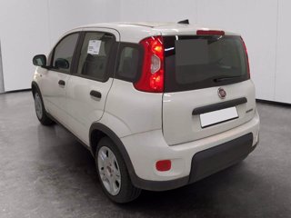 FIAT Panda 1.0 firefly hybrid s&s 70cv