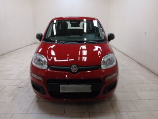 FIAT Pandina cross 1.0 firefly hybrid s&s 70cv