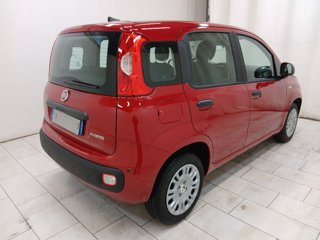 FIAT Pandina cross 1.0 firefly hybrid s&s 70cv