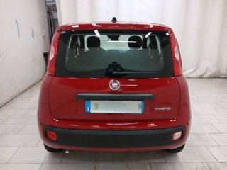FIAT Pandina cross 1.0 firefly hybrid s&s 70cv