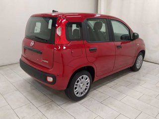 FIAT Pandina cross 1.0 firefly hybrid s&s 70cv