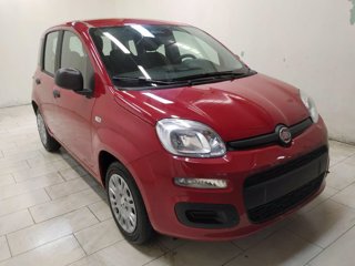 FIAT Pandina cross 1.0 firefly hybrid s&s 70cv