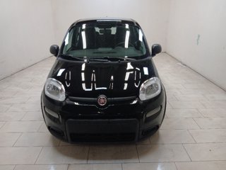 FIAT Panda 1.0 firefly hybrid s&s 70cv 5p.ti