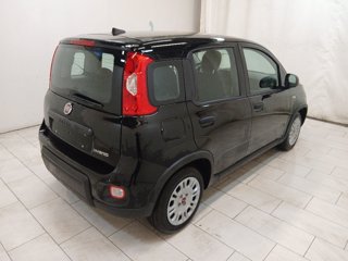 FIAT Panda 1.0 firefly hybrid s&s 70cv 5p.ti