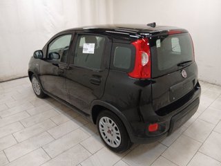 FIAT Panda 1.0 firefly hybrid s&s 70cv 5p.ti