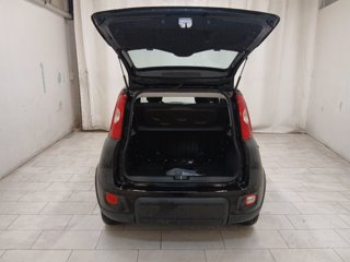 FIAT Panda 1.0 firefly hybrid s&s 70cv 5p.ti