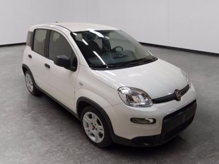 FIAT Panda 1.0 firefly hybrid s&s 70cv 5p.ti