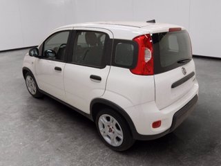FIAT Panda 1.0 firefly hybrid s&s 70cv 5p.ti