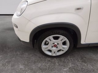 FIAT Panda 1.0 firefly hybrid s&s 70cv 5p.ti