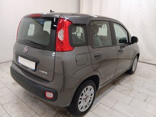 FIAT Panda 1.0 firefly hybrid s&s 70cv 5p.ti