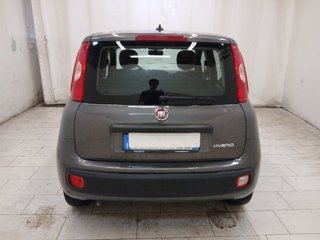 FIAT Panda 1.0 firefly hybrid s&s 70cv 5p.ti