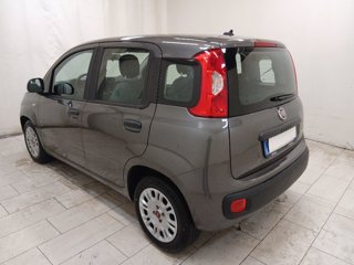 FIAT Panda 1.0 firefly hybrid s&s 70cv 5p.ti