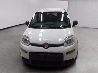 FIAT Panda 1.0 firefly hybrid s&s 70cv 5p.ti